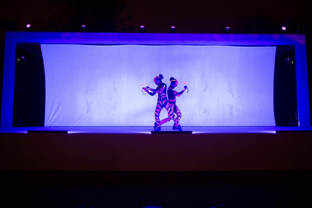 Multimedia Stage Show